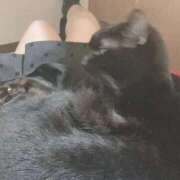 ヒメ日記 2025/10/10 12:36 投稿 ひすい イキなり生彼女from大宮