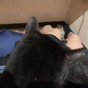 ヒメ日記 2025/11/04 12:31 投稿 ひすい イキなり生彼女from大宮