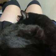 ヒメ日記 2025/11/19 12:56 投稿 ひすい イキなり生彼女from大宮