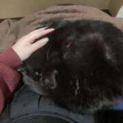 ヒメ日記 2026/02/05 12:30 投稿 ひすい イキなり生彼女from大宮