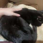 ヒメ日記 2026/04/03 12:50 投稿 ひすい イキなり生彼女from大宮