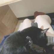 ひすい 寝坊しました💦 イキなり生彼女from大宮