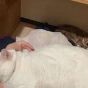 ヒメ日記 2026/08/14 15:32 投稿 ひすい イキなり生彼女from大宮