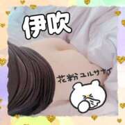 ヒメ日記 2025/03/14 15:50 投稿 伊吹 熟女の風俗最終章 新横浜店