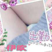 ヒメ日記 2025/03/16 00:16 投稿 伊吹 熟女の風俗最終章 新横浜店