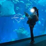 ヒメ日記 2026/01/04 12:03 投稿 暖花【アイカ】 LOVEキタ兎我野店