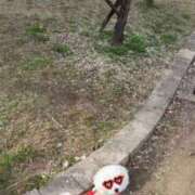 ヒメ日記 2026/04/02 14:13 投稿 暖花【アイカ】 LOVEキタ兎我野店