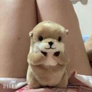 ヒメ日記 2025/08/14 07:55 投稿 とわ 柏人妻花壇