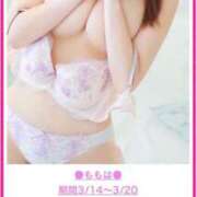 ヒメ日記 2025/03/13 18:38 投稿 ももは 京都BOOK MARK（ブックマーク）