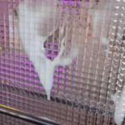 ヒメ日記 2025/08/15 23:35 投稿 星わかな ウルトラハピネス