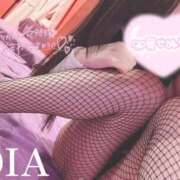 ヒメ日記 2025/08/08 14:37 投稿 ダイヤ ドMなバニーちゃん大宮店