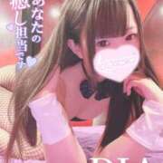 ヒメ日記 2026/02/21 07:22 投稿 ダイヤ ドMなバニーちゃん大宮店