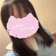 ヒメ日記 2026/02/12 06:30 投稿 みらい 11チャンネル