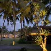 優姫名【ユキナ】 連日常連様完売/長期休暇 club MARIA(大阪)