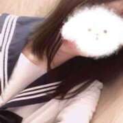 ヒメ日記 2024/12/16 08:37 投稿 いろは ハンドキャンパス新宿