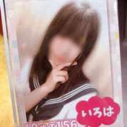 ヒメ日記 2025/10/04 19:21 投稿 いろは ハンドキャンパス新宿