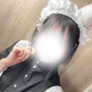 ヒメ日記 2026/01/31 19:02 投稿 いろは ハンドキャンパス新宿