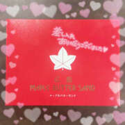 ヒメ日記 2025/06/29 23:53 投稿 みとね 2980円