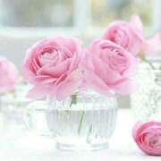 ヒメ日記 2025/04/17 20:46 投稿 山口夏穂 五十路マダム 仙台店