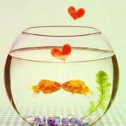 ヒメ日記 2025/06/18 22:04 投稿 山口夏穂 五十路マダム 仙台店