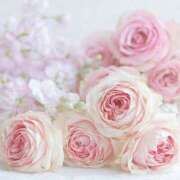 ヒメ日記 2025/09/07 22:12 投稿 山口夏穂 五十路マダム 仙台店