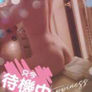 ヒメ日記 2025/04/23 16:13 投稿 あまね ラブライフ大宮岩槻店