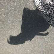 ヒメ日記 2025/04/01 11:08 投稿 凛奈(りんな) 高崎回春性感SPA