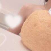 ヒメ日記 2025/12/27 11:22 投稿 こなつ ハイブリッドヘルス西川口