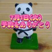 ヒメ日記 2025/06/30 15:46 投稿 よしこ 京都人妻花壇