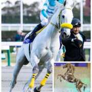 ヒメ日記 2025/07/23 20:02 投稿 よしこ 京都人妻花壇