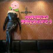 ヒメ日記 2025/09/26 16:14 投稿 よしこ 京都人妻花壇