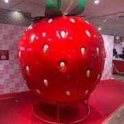 ヒメ日記 2026/02/01 13:30 投稿 よしこ 京都人妻花壇