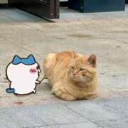 ヒメ日記 2025/02/15 21:39 投稿 みおん PLEASURE