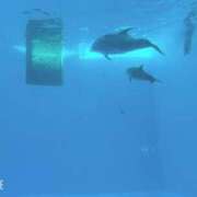 ヒメ日記 2025/01/26 20:03 投稿 Rina ワンカラット～人妻の輝き～