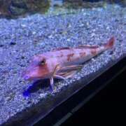 ヒメ日記 2025/04/11 12:31 投稿 Rina ワンカラット～人妻の輝き～