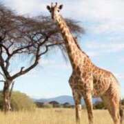 ヒメ日記 2025/08/25 13:01 投稿 Rina ワンカラット～人妻の輝き～