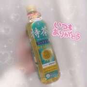 ヒメ日記 2025/03/10 20:10 投稿 えれな 逆電車ごっこ ～GLAMOROUS TRAIN～