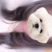 ヒメ日記 2025/03/13 13:20 投稿 えれな 逆電車ごっこ ～GLAMOROUS TRAIN～