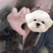 ヒメ日記 2025/08/29 23:30 投稿 えれな 逆電車ごっこ ～GLAMOROUS TRAIN～