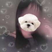 ヒメ日記 2026/02/16 17:20 投稿 えれな 逆電車ごっこ ～GLAMOROUS TRAIN～