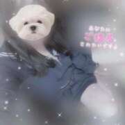 ヒメ日記 2026/04/23 00:22 投稿 えれな 逆電車ごっこ ～GLAMOROUS TRAIN～