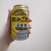 ヒメ日記 2026/09/08 01:40 投稿 えれな 逆電車ごっこ ～GLAMOROUS TRAIN～