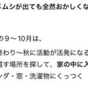 ヒメ日記 2026/09/20 03:15 投稿 えれな 逆電車ごっこ ～GLAMOROUS TRAIN～