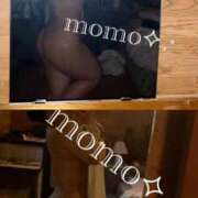 ヒメ日記 2026/01/31 05:24 投稿 もも 沖縄素人図鑑