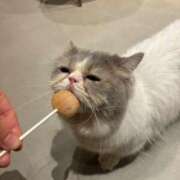 ヒメ日記 2025/02/07 13:25 投稿 赤城 紗英 テレジア京都