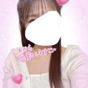 ヒメ日記 2025/11/08 19:04 投稿 新田せいら 癒したくて成田店～日本人アロマ性感～