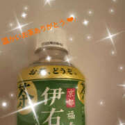 ヒメ日記 2025/02/09 00:30 投稿 らいか ぺろぺろベロベロ専科 ぺろんちょ