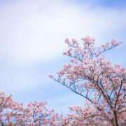 ヒメ日記 2025/04/07 15:25 投稿 みよ スピードエコ梅田店