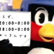 ヒメ日記 2024/09/02 12:09 投稿 とあ 石川小松ちゃんこ