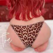 ヒメ日記 2024/12/12 13:09 投稿 とあ 石川小松ちゃんこ